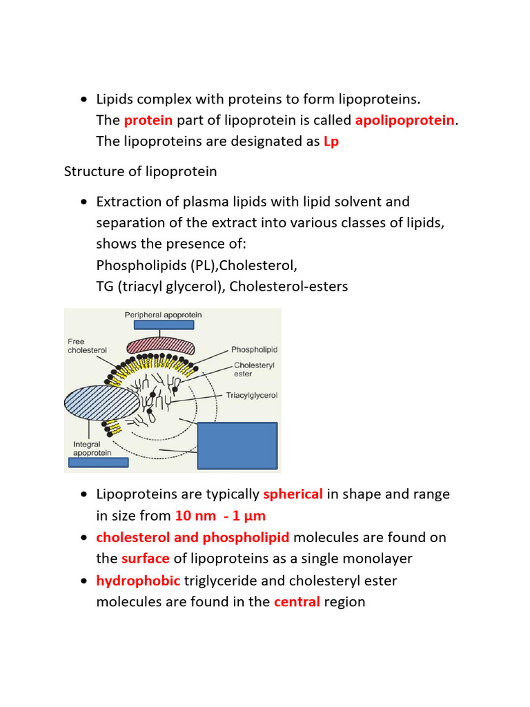 Lipoprotein - Structure, Classification - 060423 | PDF