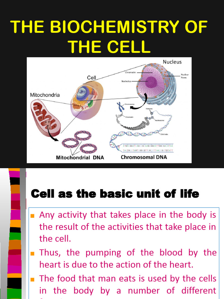 Biochemistry of The Cell | PDF | Dna | Carbohydrates