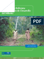 La Amazonía Boliviana y los Objetivos de Desarrollo del Milenio