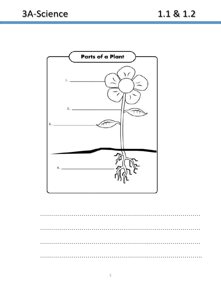 3AWorksheet 1 | PDF