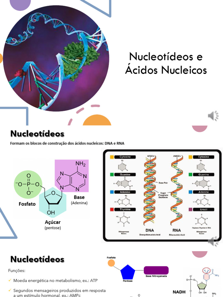 Aula 8 Cidos Nucleicos Qumica | PDF | RNA | DNA