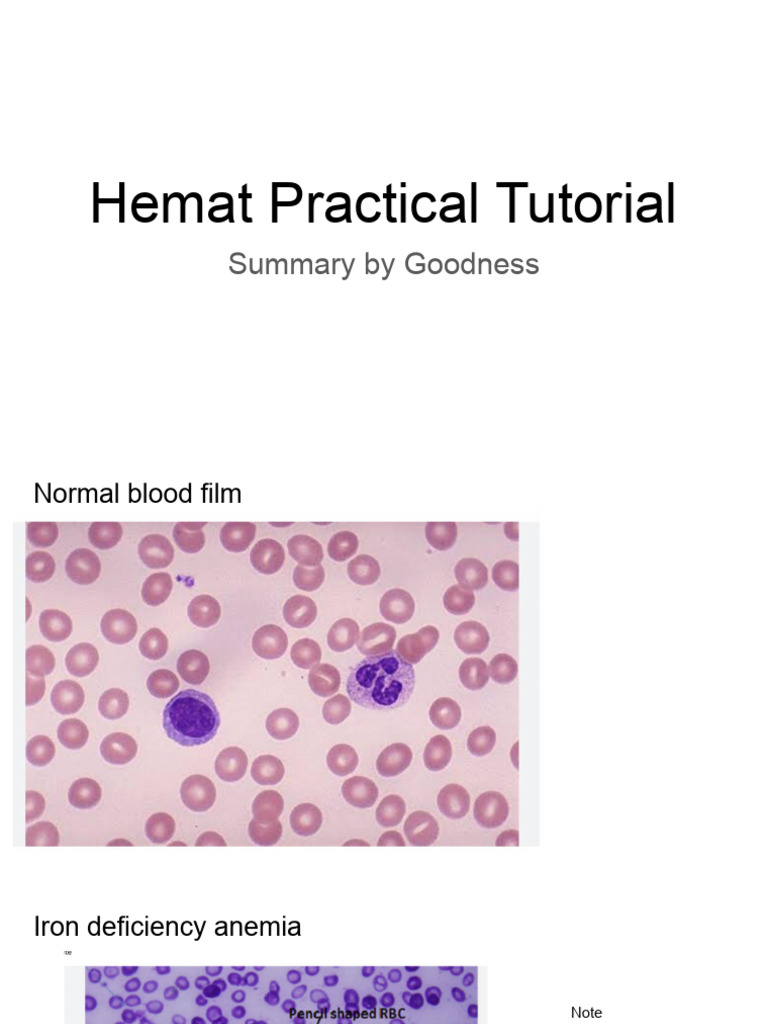 Hemat Tutorial Practical | PDF