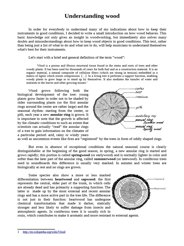 Understanding Wood | PDF | Wood | Trees