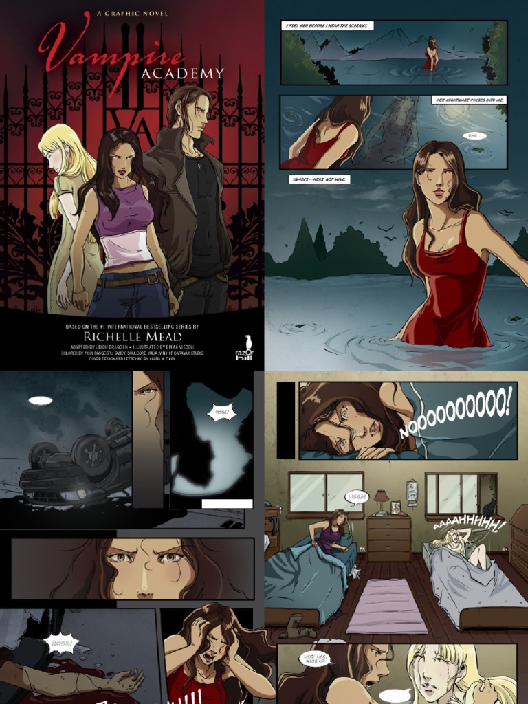 Vampire Academy Graphic Novel