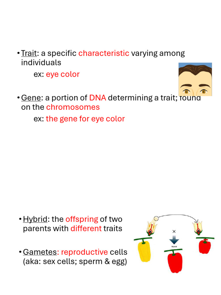 Bit - Module I - Genetics | PDF