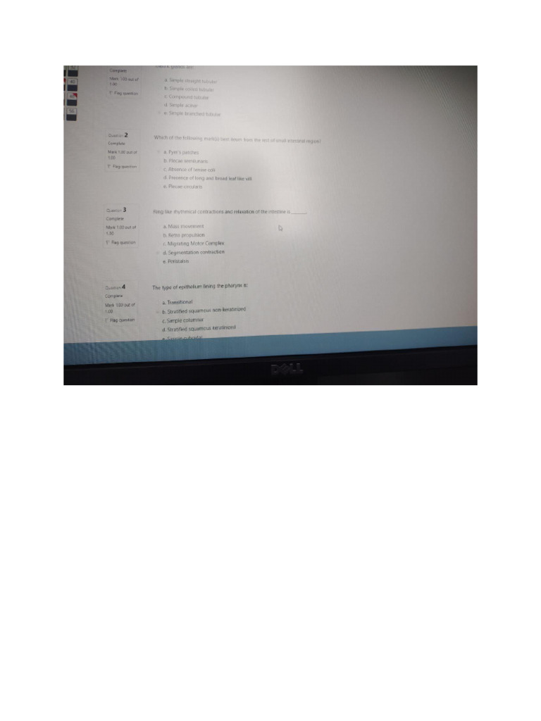Module 11 Test 1 | PDF