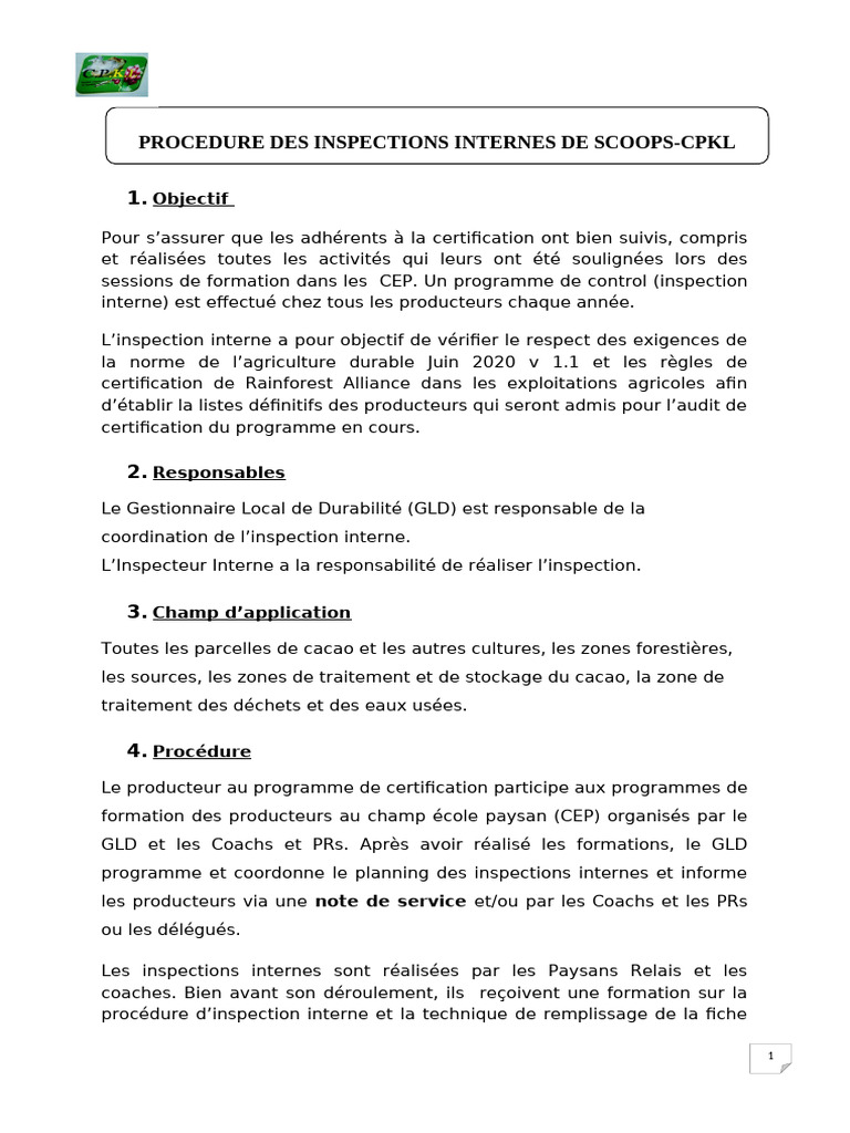 Procédure D'inspection Interne RA 2020 | PDF