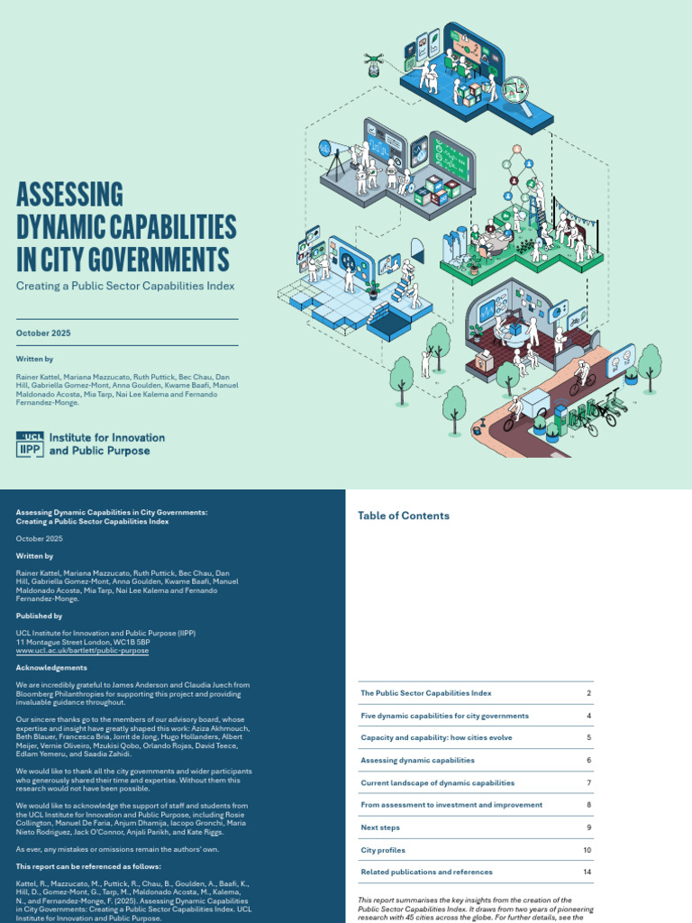 Assessing Dynamic Capabilities in City Governments | PDF | Governance ...