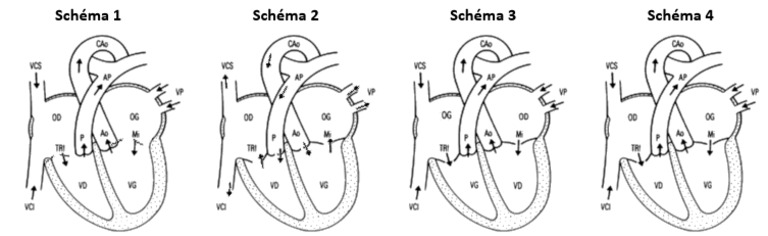 Test Schéma | PDF
