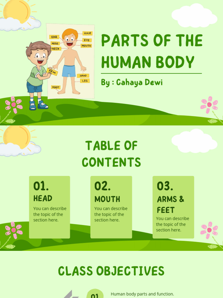 Parts of The Human Body Presentation | PDF