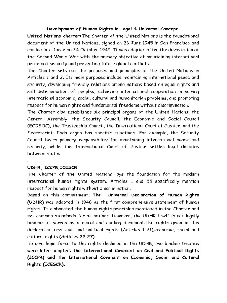 International | PDF | Human Rights | United Nations