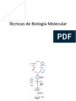 TÃ©cnicas de BiologÃ A Molecular - 1