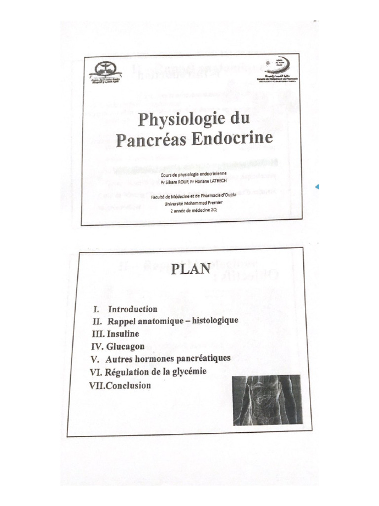 Pancreas Endocrine | PDF