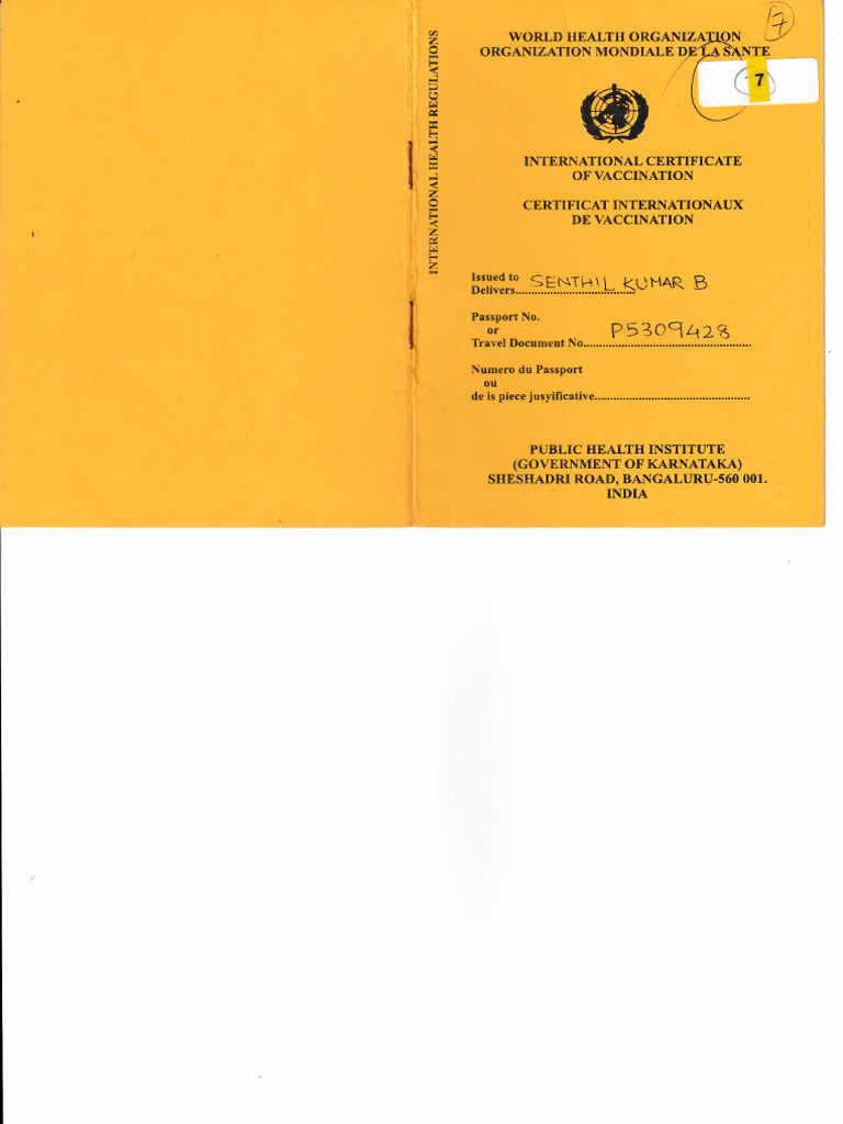 Yellow Fever Documents For The Crew | PDF