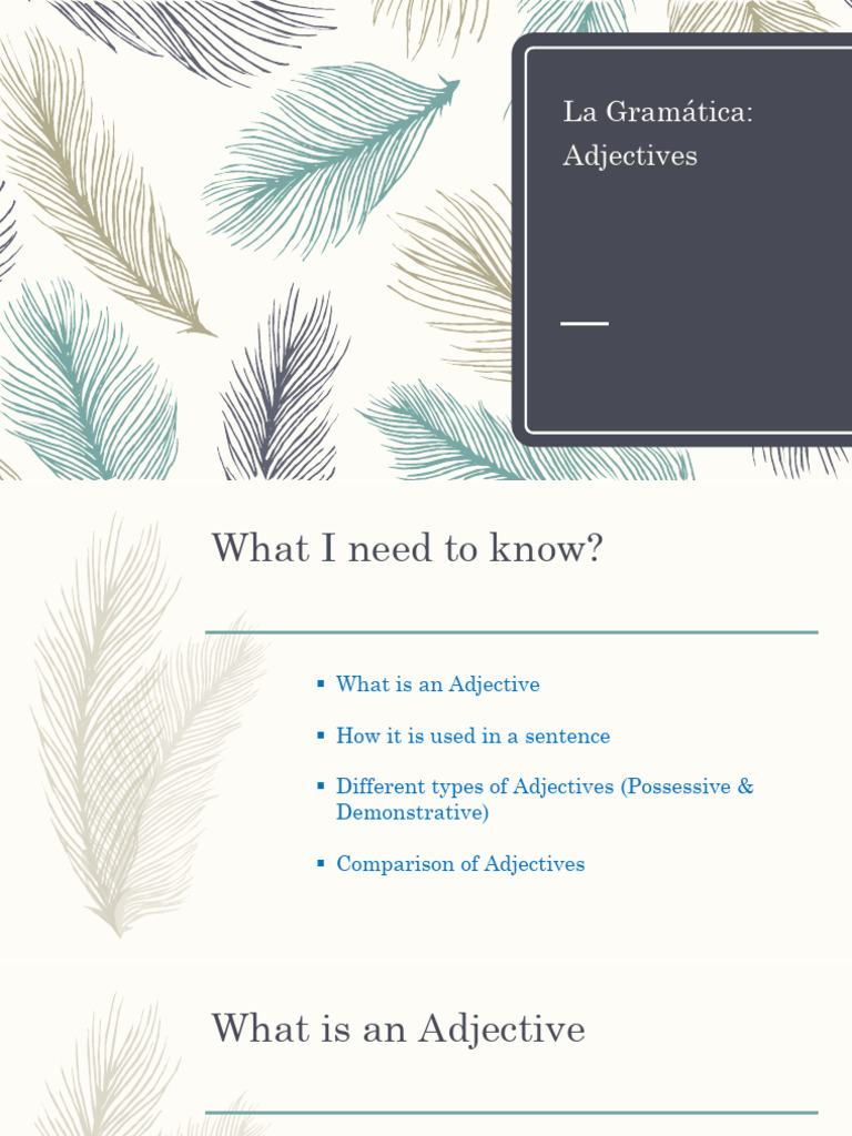 Adjectives | PDF | Grammatical Gender | Adjective