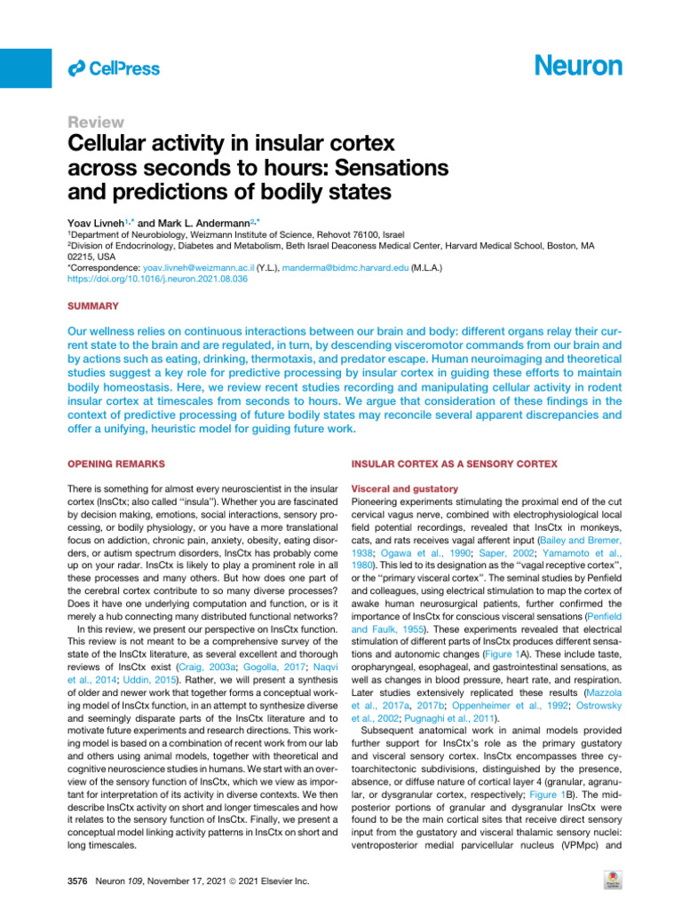 Cellular Activity in Insular Cortex Across Seconds | PDF