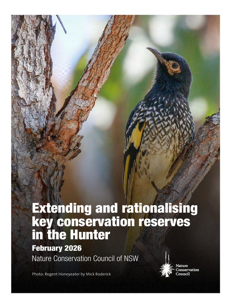 Extending and Rationalising Key Conservation Reserves in The Hunter ...
