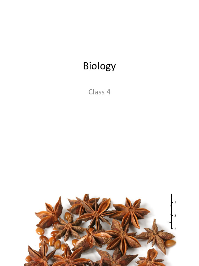 Bio Class 4 | PDF