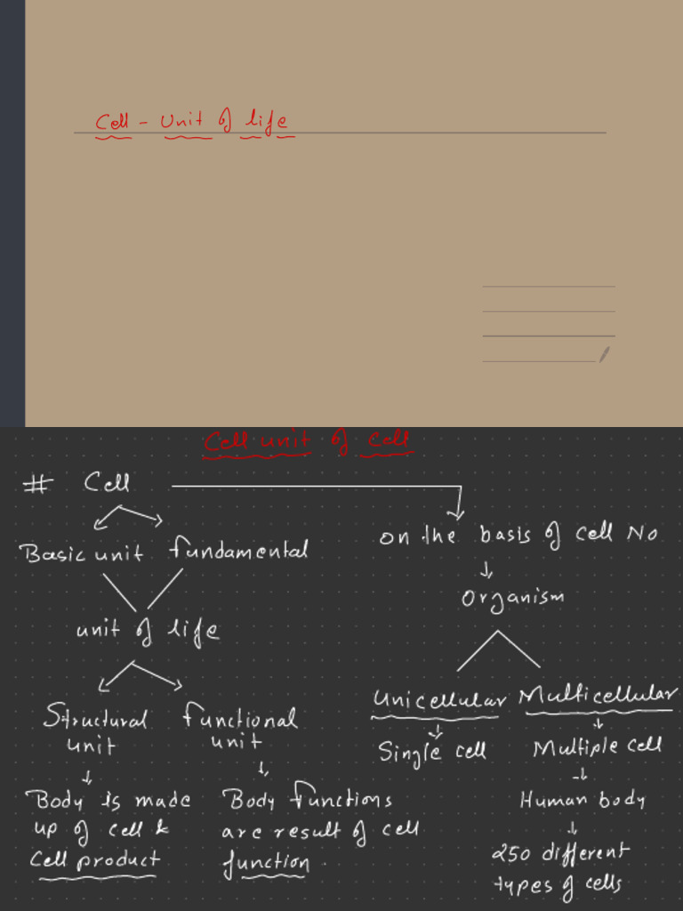Cell Unit of Life 2 | PDF