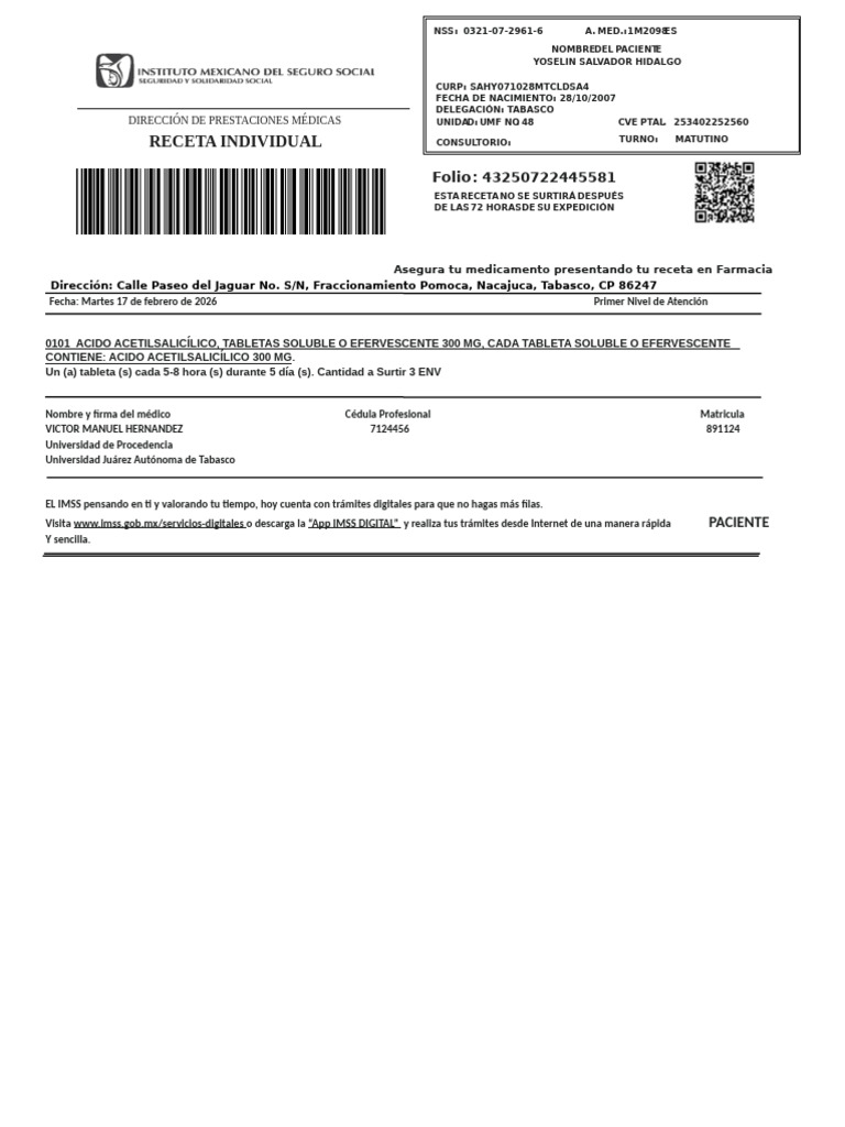 Receta Imms Editable Nuevo Formato | PDF | Servicios públicos | Química ...
