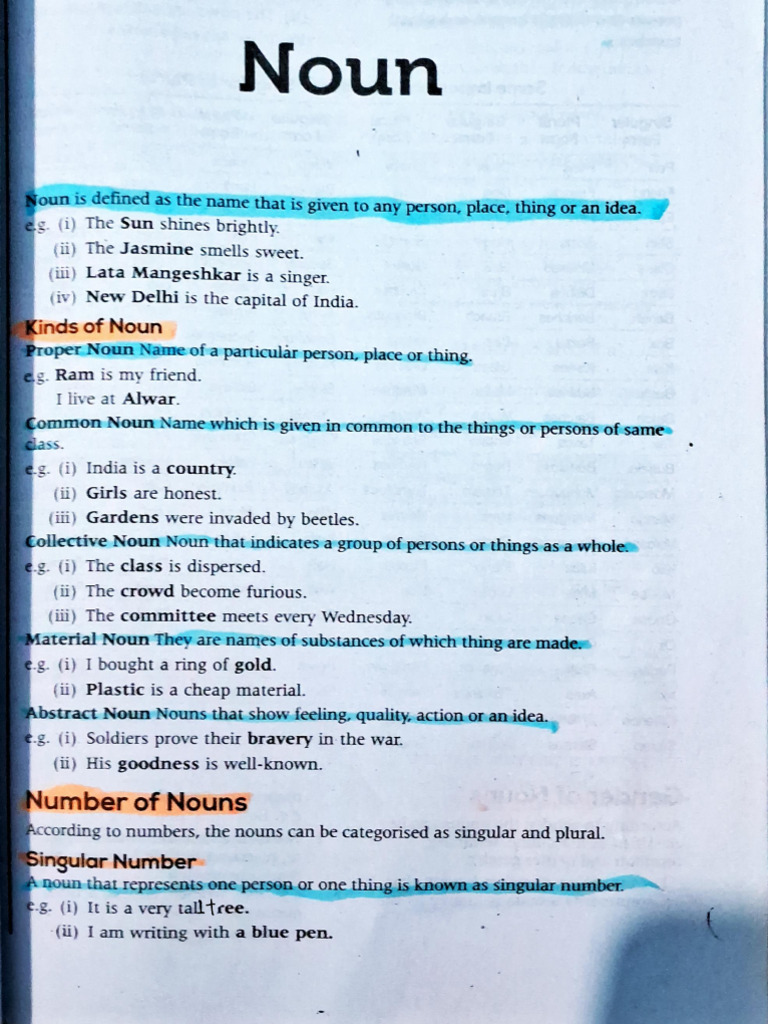 English Grammar Chapter Noun | PDF