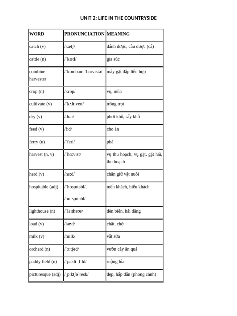 Ôn tập unit 2 lớp 8 hoclieu | PDF