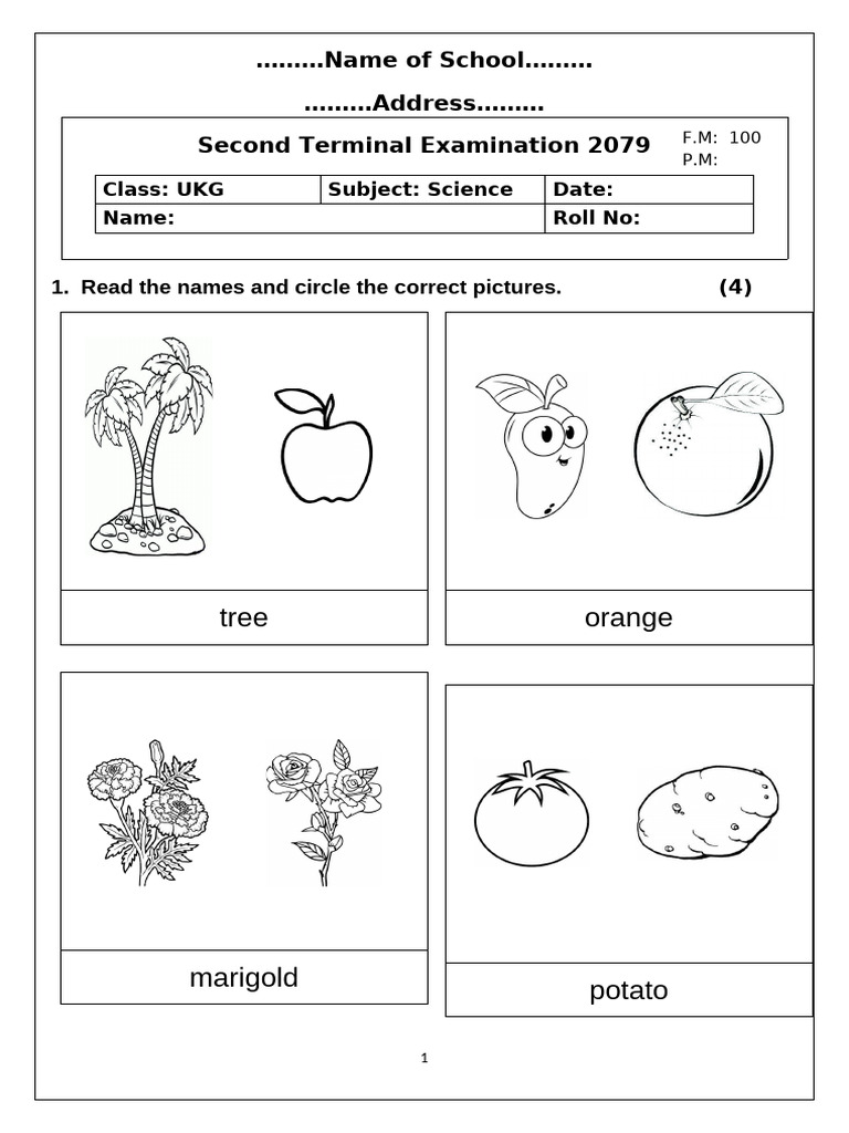 UKG Science 2nd Term 2079 1 | PDF | Fruit | Plants