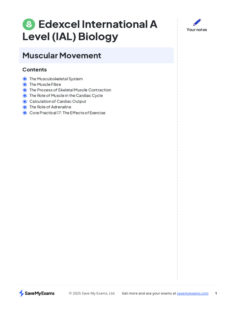 Muscles | PDF | Heart | Skeletal Muscle