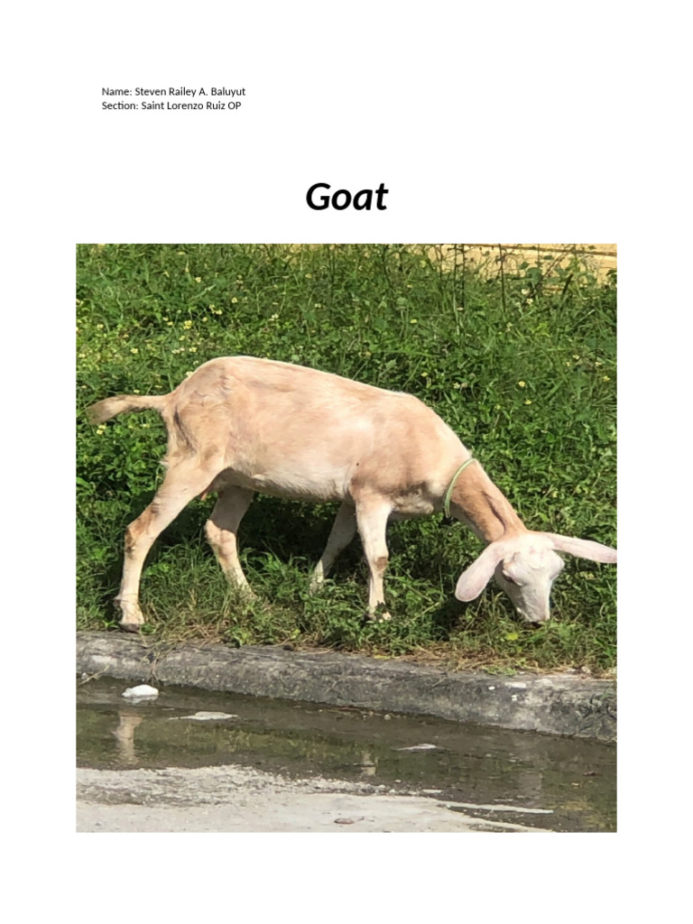 Steven GOAT | PDF