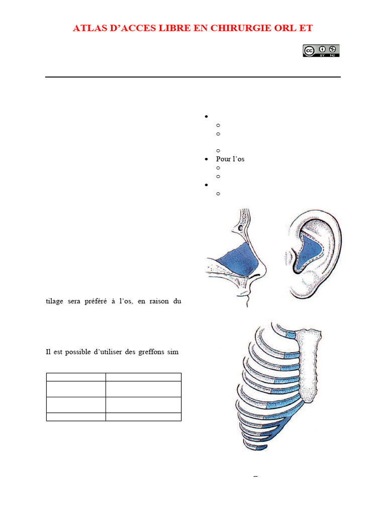 Les Greffons en Rhinoplastie | PDF