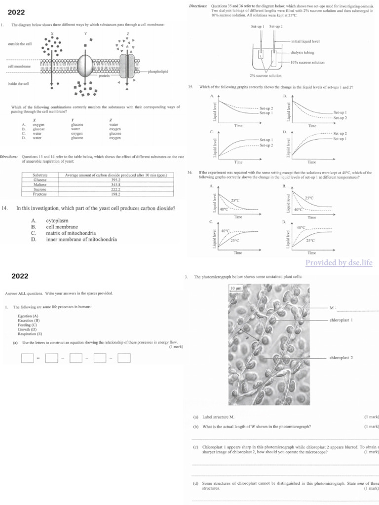 Provided by Dse - Life | PDF