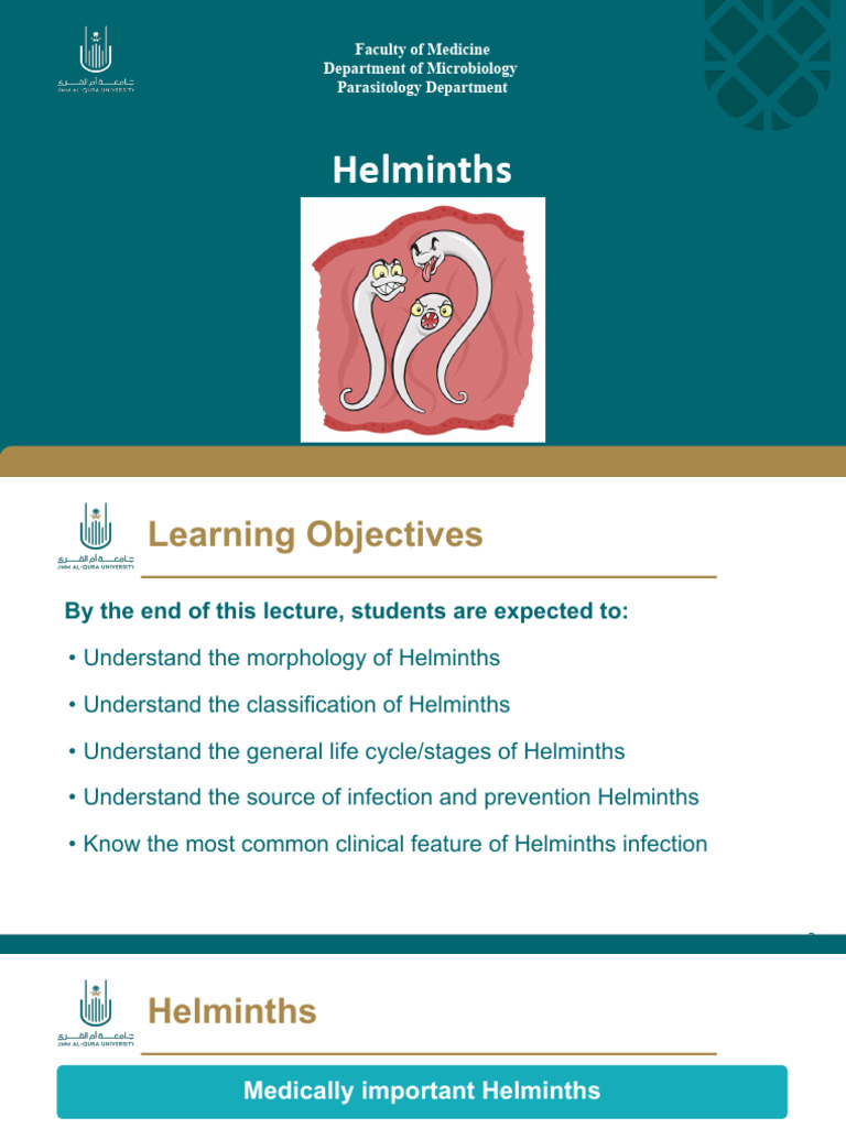 Lecture 14 Helminths 1 | PDF | Parasitism | Microbiology
