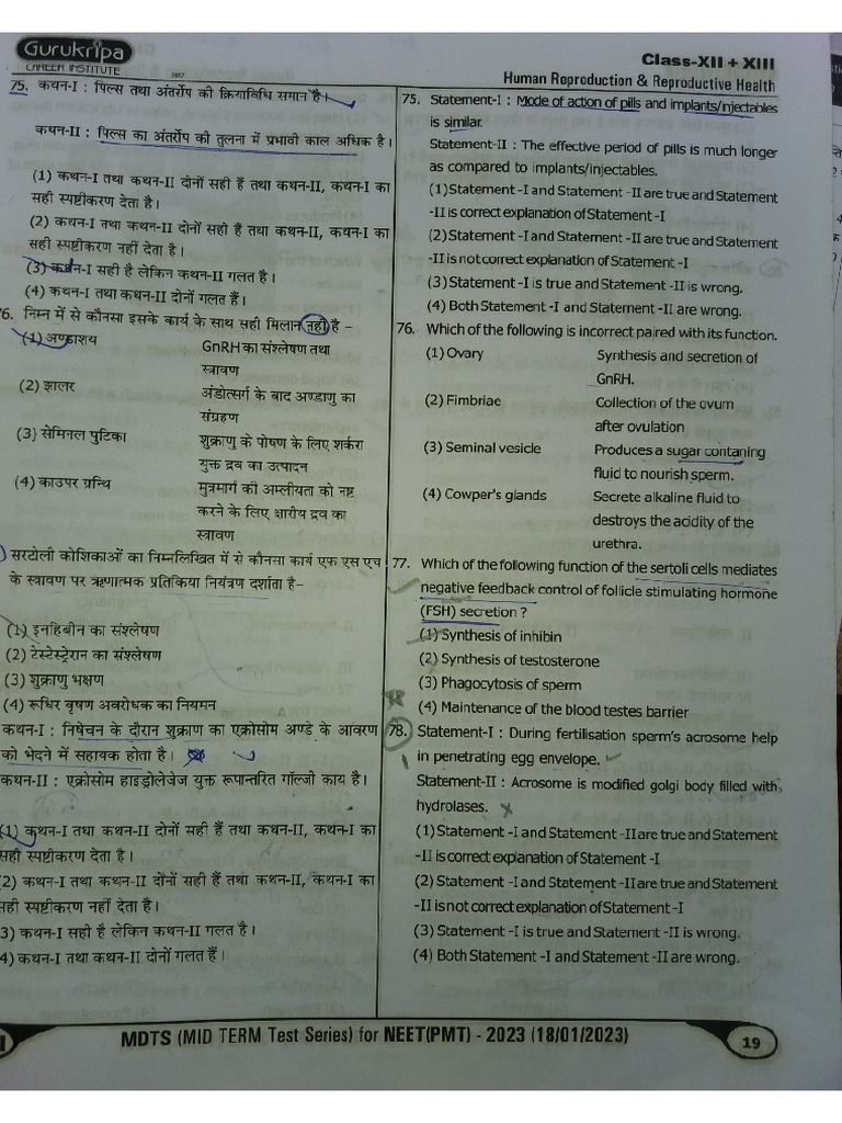 Gci Test 21 | PDF