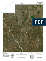 Topographic Map of Buffalo Arroyo