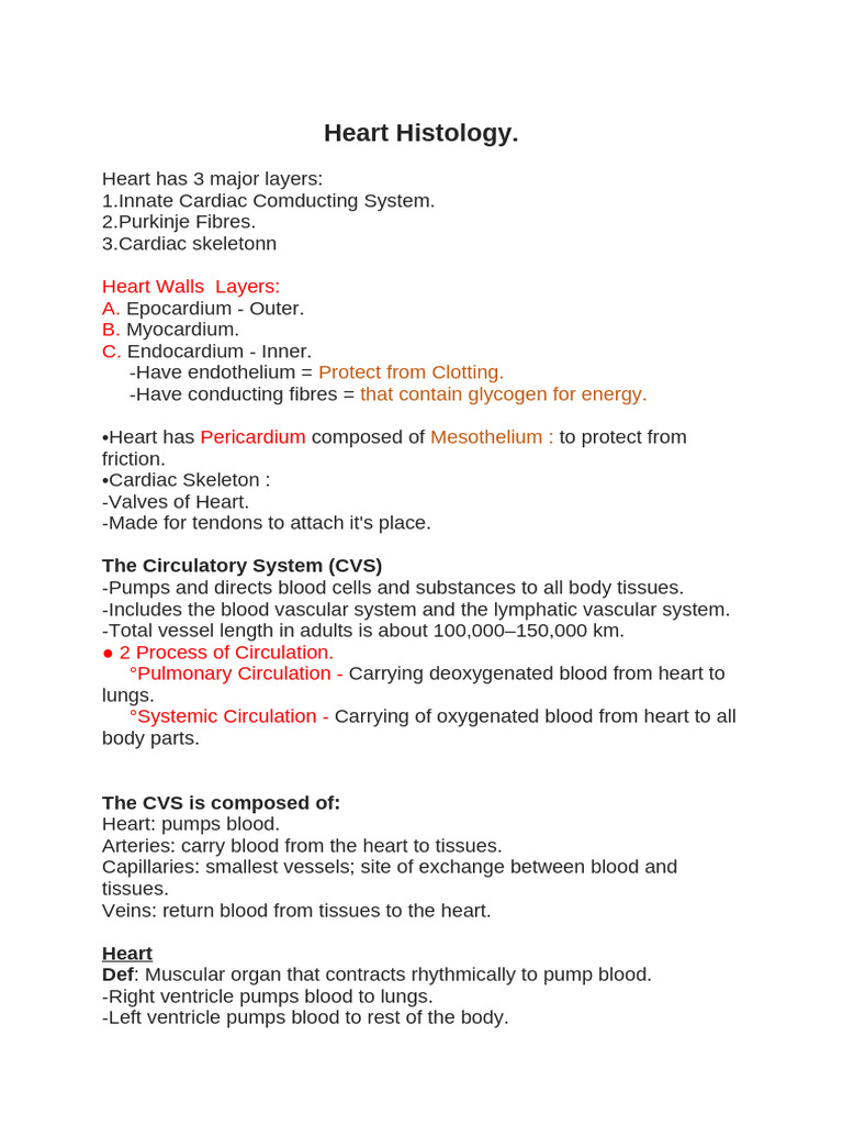 Cardiovascular Heart 260211 105157 | PDF | Artery | Heart