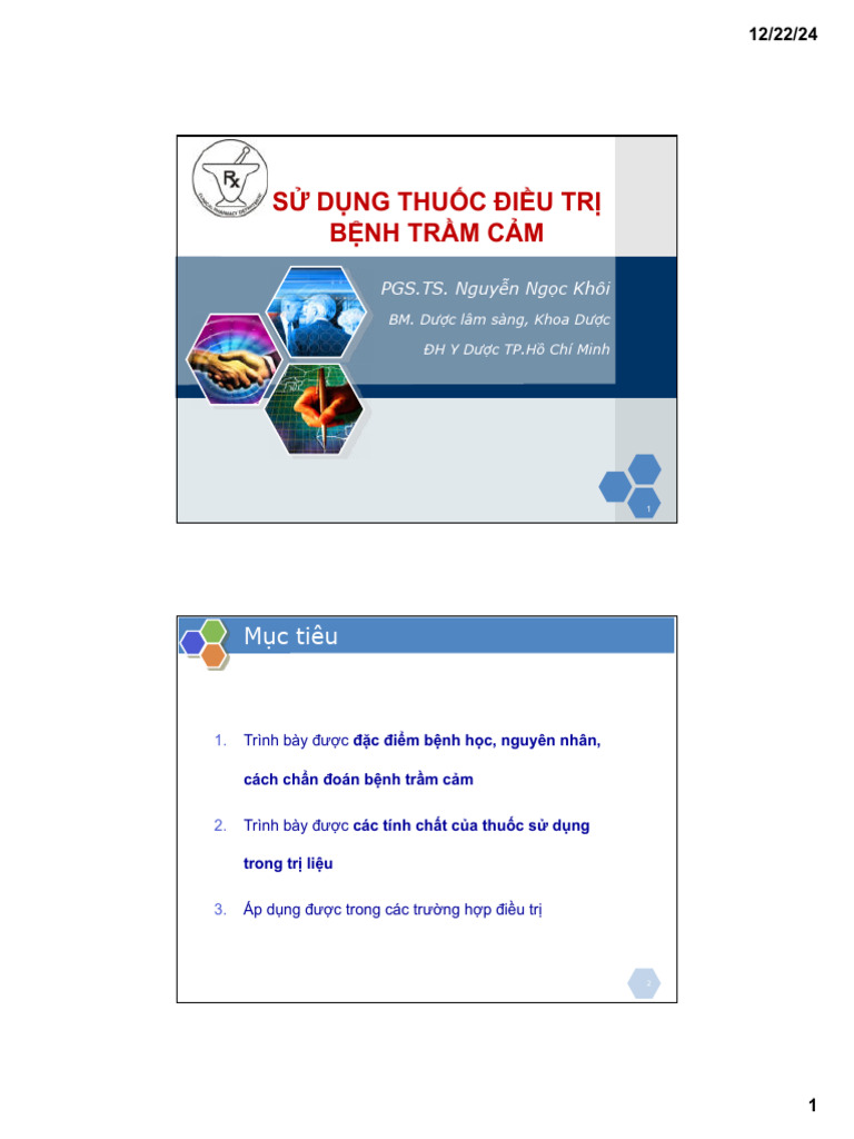 DLS2 - Depression 12-2024 | PDF