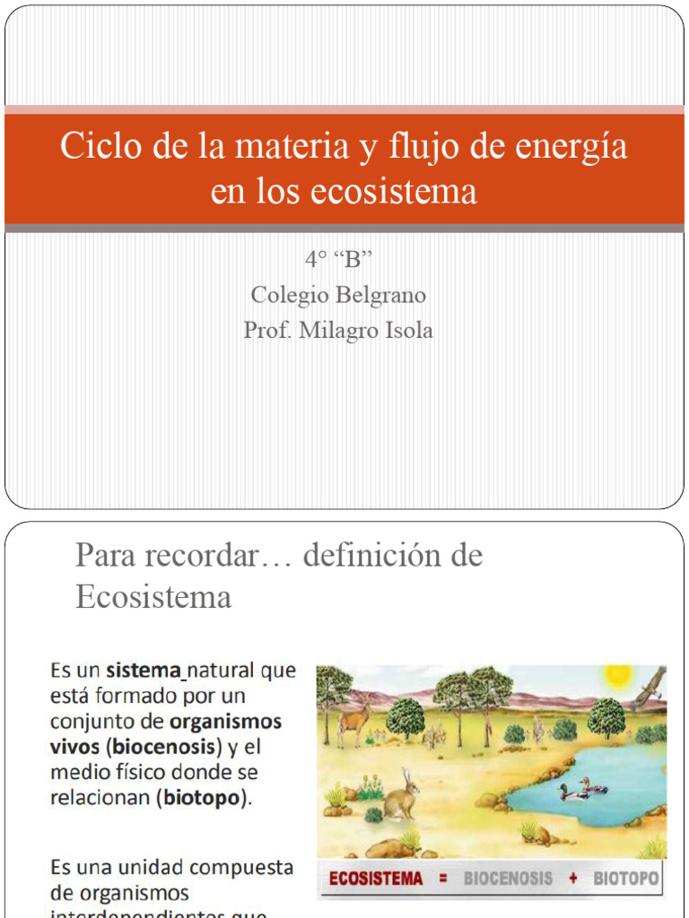 Ciclo de Materia y Flujo de Energia | PDF