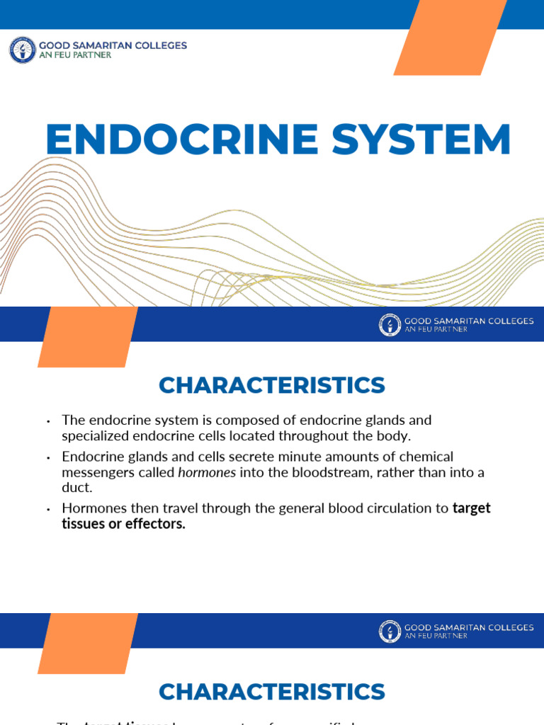 Week 13 - Endocrine System | PDF | Adrenal Gland | Hormone