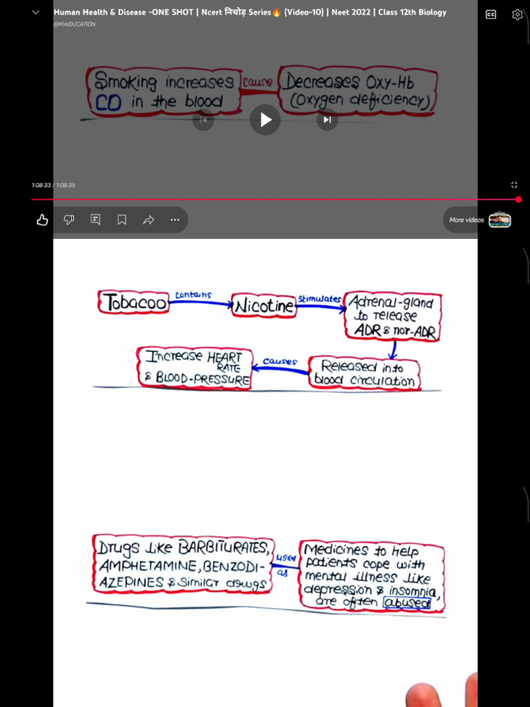 PDF 24 | PDF