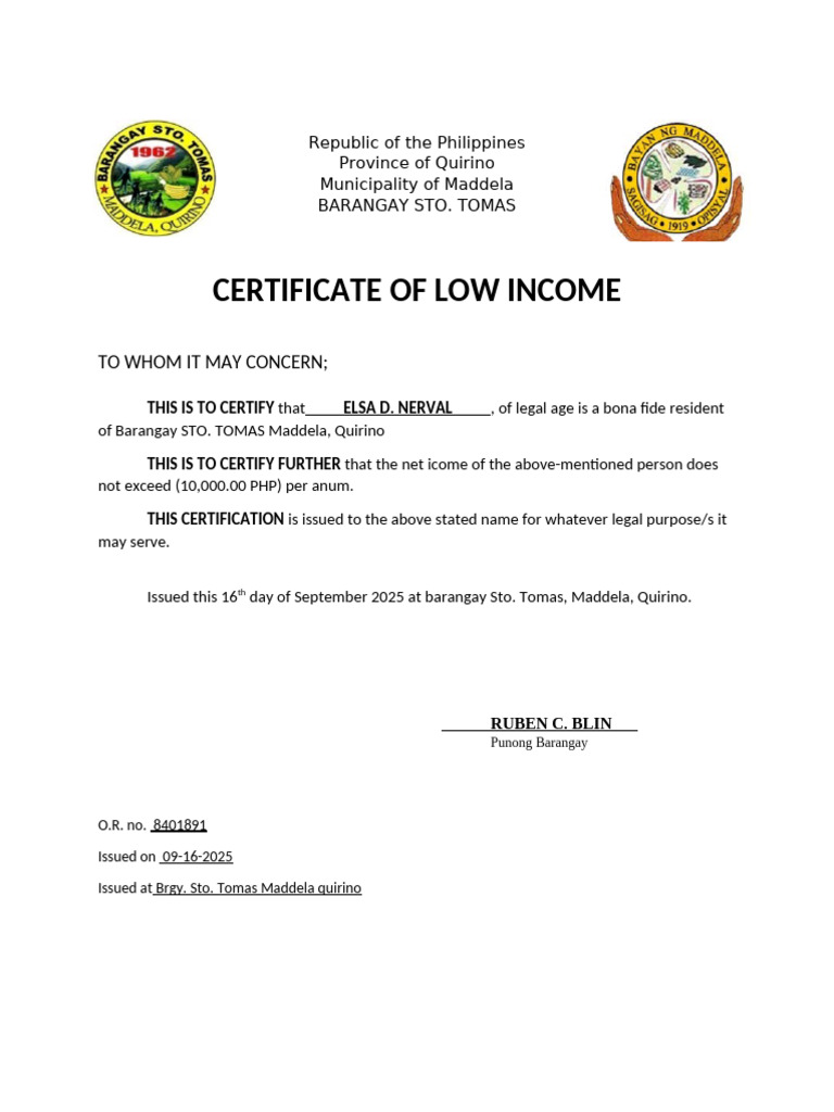 Low Income | PDF