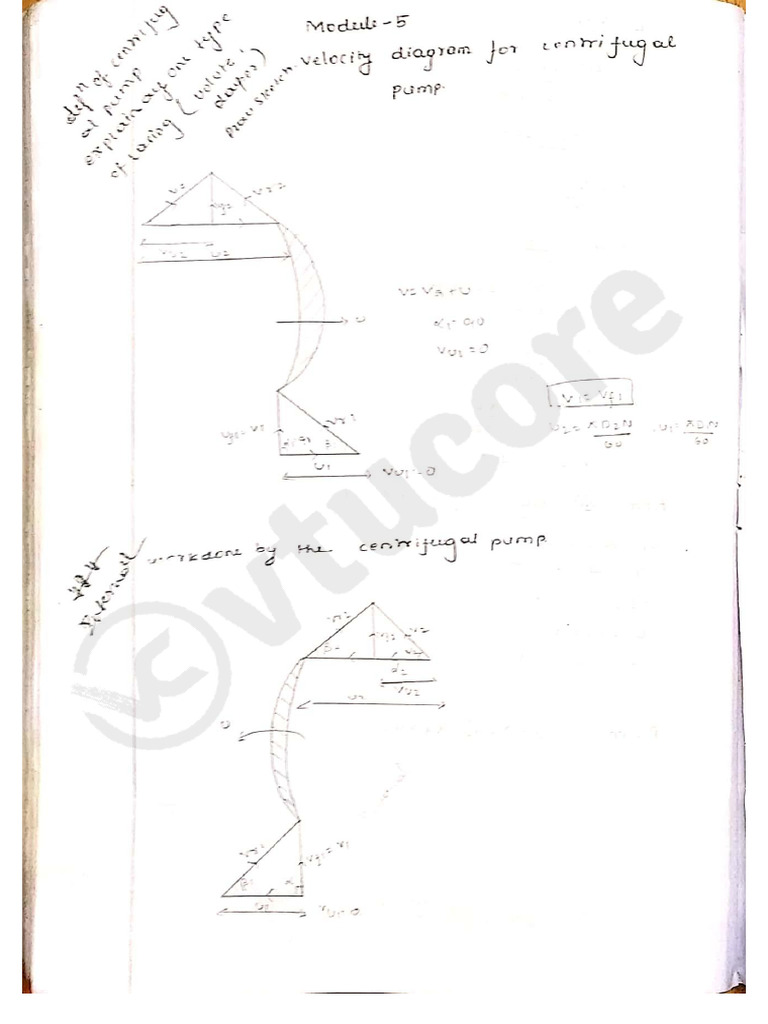 BME502 Module 5 Notes | PDF