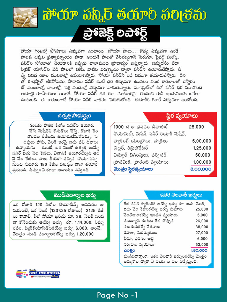 Soya Paneer - Project Report Sample | PDF