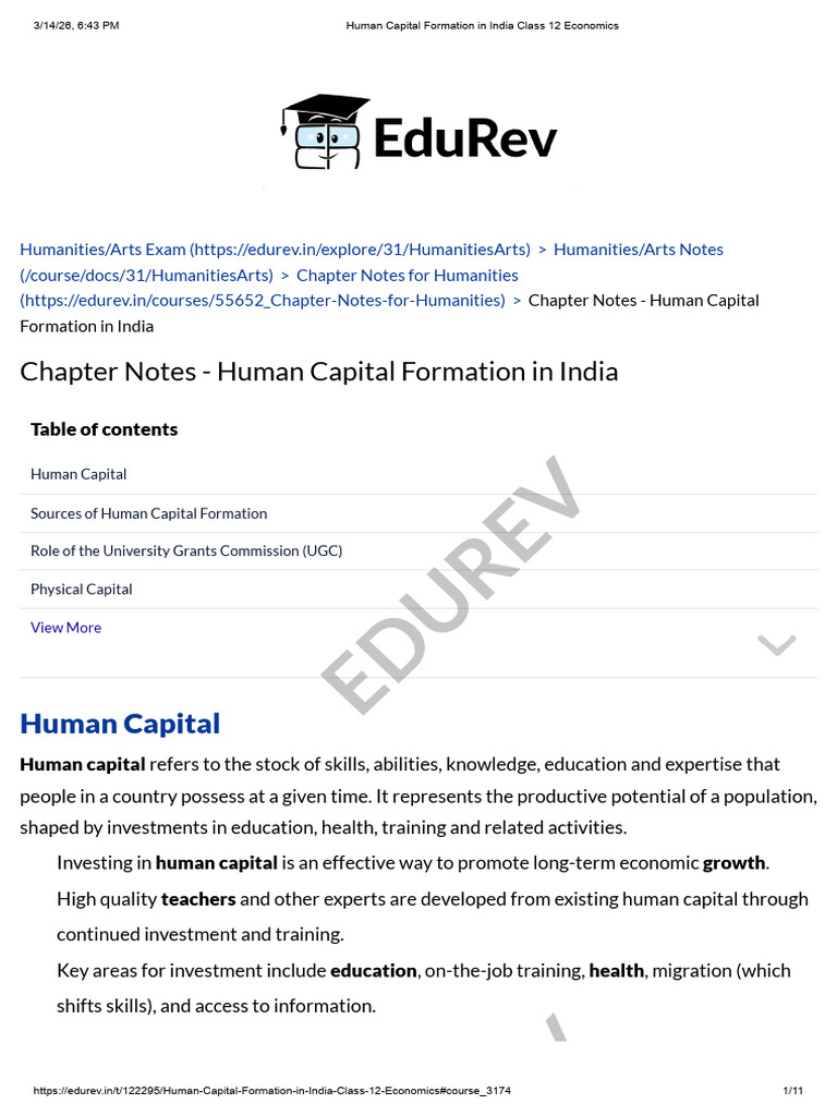 Human Capital Formation in India Class 12 Economics | PDF | Human ...