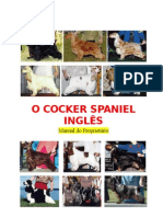 Guia completo sobre o Cocker Spaniel Inglês