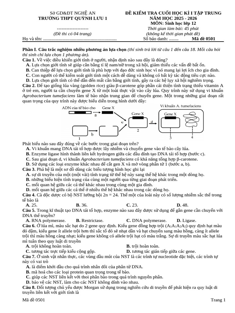 Ma de 0501 | PDF