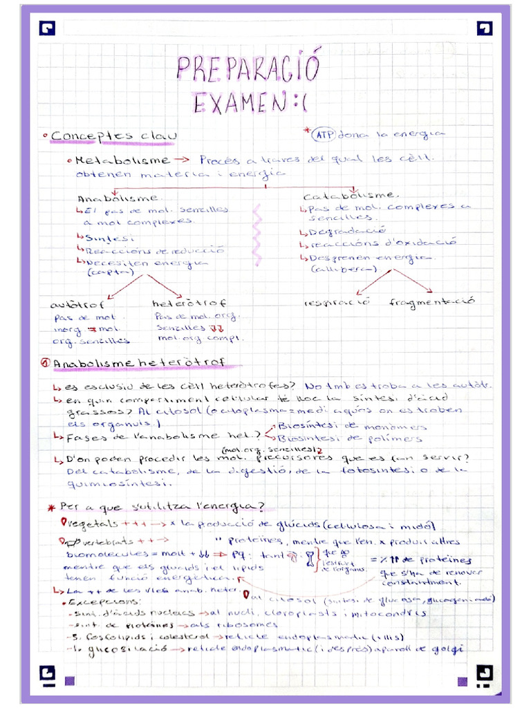 Examen 1 | PDF