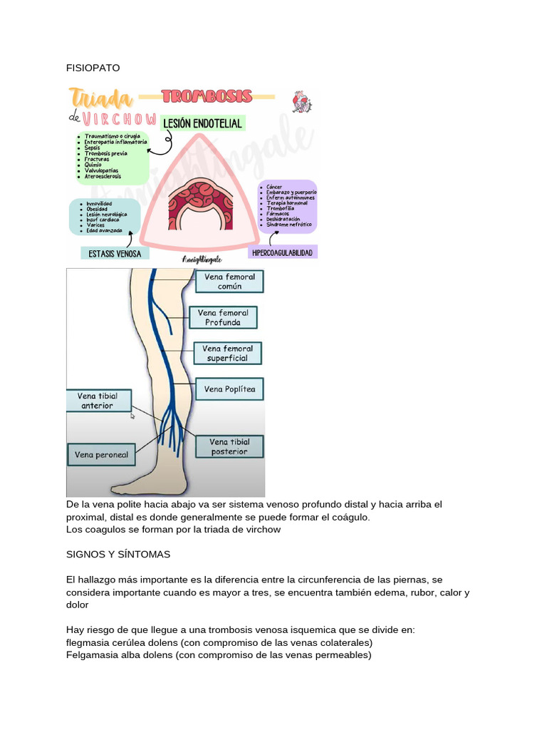 TVP Y TEP (1) | PDF | Medicina CLINICA | Especialidades Medicas