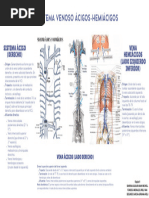 Venas Ácigos y Hemiácigos: Anatomía y Función | PDF | Historia | Clásicos