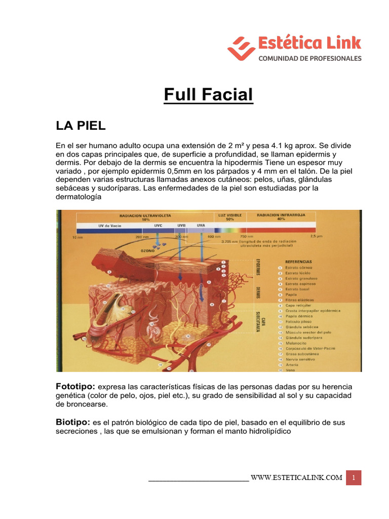 Material de apoyo Full Facial Estética Link 2020 | PDF | Piel | Sistema ...