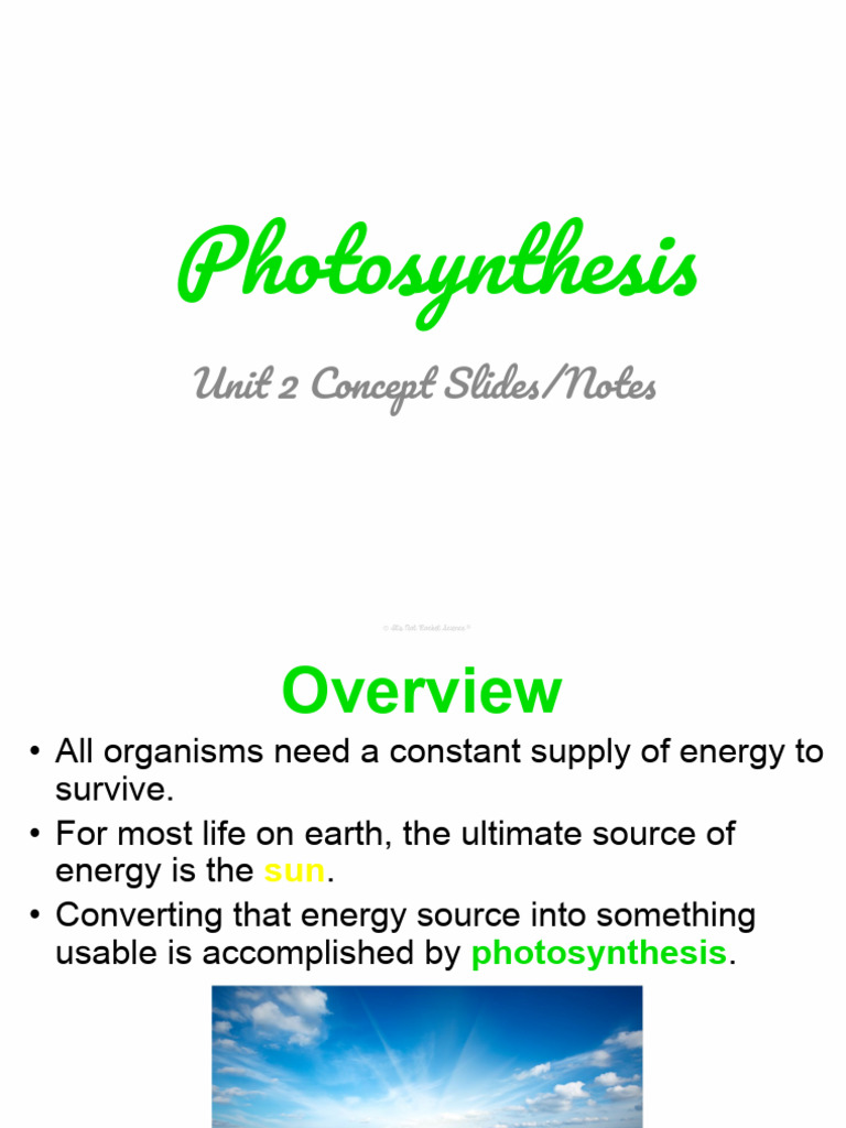 Concept 4 Notes - Photosynthesis | PDF | Photosynthesis | Chemistry